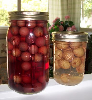 Muscadine Grape Juice Recipe - Food.com: Food.com Muscadine Recipe, Homemade Grape Juice, Muscadine Jelly, Grape Juice Recipe, Muscadine Wine, Grape Recipes, Raspberry Pie, Grape Jelly, Juice Recipe