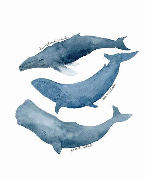 Whale Art Whale Print Whale Wall Art Whale Art Print | Etsy Watercolor Whales, Trio Art, Whale Art Print, Big Whale, Whale Wall Art, Entryway Art, Whale Nursery, Sepia Photography, Watercolor Whale