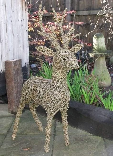 Willow Animals, Willow Sculptures, Willow Sculpture, Willow Art, Waste Art, Twig Art, Orchid Show, Willow Weaving, Weaving Ideas