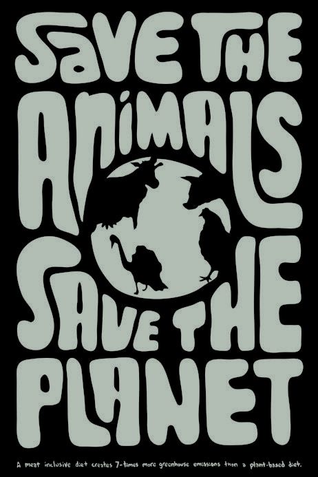 Plakat Design Inspiration, Save The Animals, Save Planet Earth, Poster Competition, Collage Des Photos, Protest Posters, Save Our Earth, 타이포그래피 포스터 디자인, Save Animals