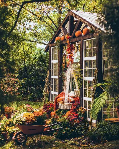 Tiny Wedding Venues, Cottage Journal, Build A Greenhouse, Virginia Wedding Venues, The Home Edit, Potting Sheds, Garden Studio, Seasonal Garden, Potting Shed