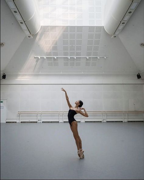 Yasmine Naghdi on Instagram: “#reaching @ballerinaproject_ #royalballet #royaloperahouse” Yasmine Naghdi, Royal Opera House London, Svetlana Zakharova, Art Ballet, Ballerina Project, Ballet Pictures, Paris Opera Ballet, Royal Opera House, Ballet Beauty