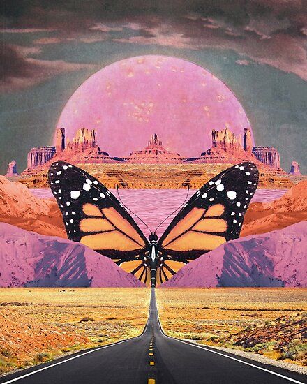 Flight, Butterflies, Art Print, Road, Collage, Pink, Design, Art