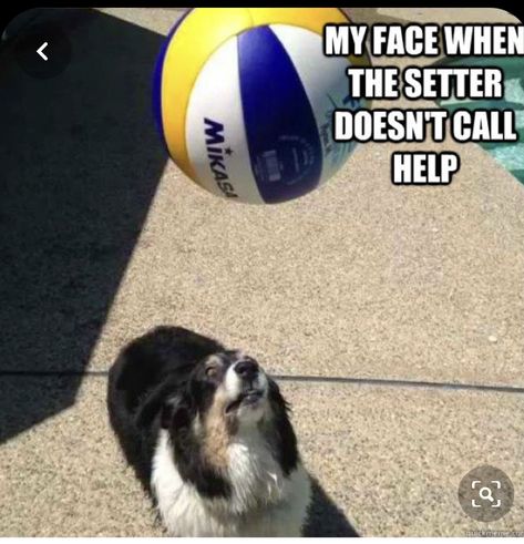 Wallpaper Volleyball, Volleyball Quotes Funny, Volleyball Jokes, Volleyball Problems, Volleyball Motivation, Volleyball Things, Funny Volleyball, Volleyball Memes, Volleyball Life