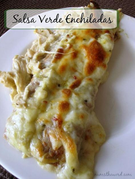 Explore a delicious twist on a classic favorite with these Salsa Verde Chicken Enchiladas. Packed with flavor and perfect for any meal, these enchiladas are sure to become a family favorite. Enjoy the vibrant taste of salsa verde combined with tender chicken wrapped in soft tortillas. Low Carb Salsa Verde Chicken Enchiladas, Different Types Of Enchiladas, Creamy Verde Enchilada Sauce, Poblano Enchiladas, Gf Tortillas, Creamy Enchiladas, Verde Chicken Enchiladas, Verde Enchiladas, Salsa Verde Chicken Enchiladas