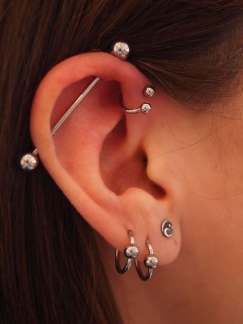 Single, double and triple forward helix piercing information guide on pain, price, healing and aftercare with examples of Forward Helix Piercing jewellery. - http://www.piercingmodels.com/forward-helix-piercing/ Ušný Piercing, Triple Forward Helix Piercing, Ear Peircings, Helix Piercings, Forward Helix Piercing, Septum Piercings, Cool Ear Piercings, Pretty Ear Piercings, Cool Piercings