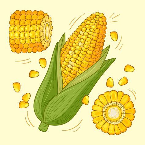 Corn On The Cob Drawing, Corn Drawing, Technology Icon, Corn On The Cob, Background Remover, Card Banner, Poster Invitation, Vector Hand, Presentation Template Free