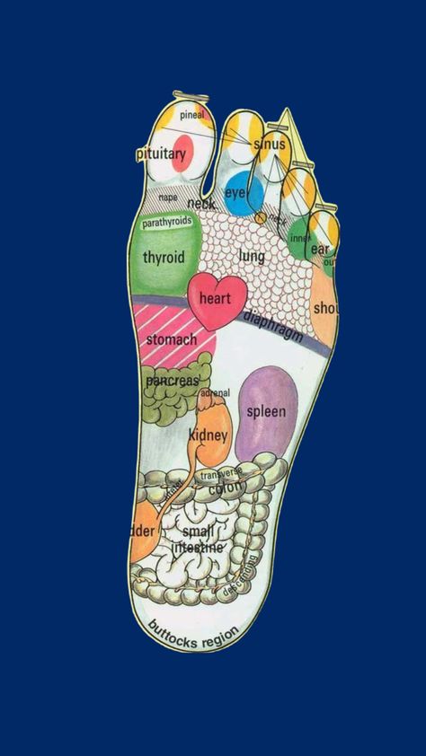 Did you know that different areas of your feet correspond to various parts of your body? Similar to palm reading, foot reflexology maps out zones on your feet that can reveal insights into your health and well-being. 🌟  🔹 Toes - Head and neck areas 🔹 Ball of Foot - Heart and chest 🔹 Arch - Liver, pancreas, and kidneys 🔹 Heel - Lower back and intestines  Explore how applying pressure to these zones can help improve your overall health and alleviate specific ailments. Dive into the fascinating world of foot reading and discover the secrets your feet hold! 🦶✨ Foot Reflexology Massage, Healing Bible Verses, Healing Vibes, Reflexology Massage, Foot Reflexology, Palm Reading, Physical Wellness, Healing Power, Reflexology