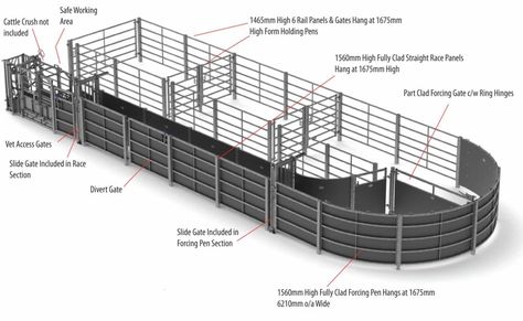 Fixed Cattle Handling Systems Cattle Working Pens, Cattle Pens, Cattle Facility, Cattle Corrals, Pen Designs, Livestock Barn, Cattle Barn, Raising Cattle, Hay Racks