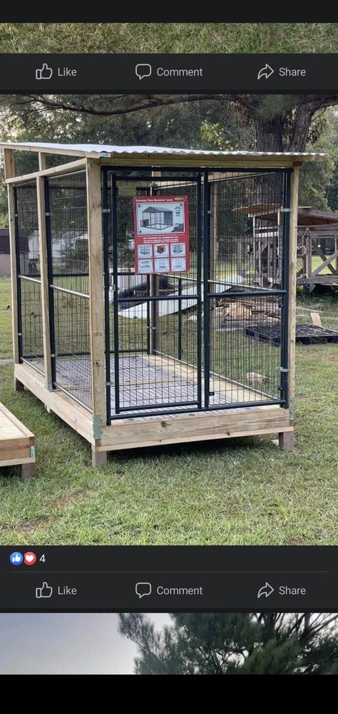 Raised Dog Kennel Outdoor, Outdoor Kennel Ideas, Outside Dog Kennel Ideas, Cheap Outdoor Dog Kennels, Hunting Dog Kennel, Garage Dog Kennel Ideas, Dog Kennel Room, Dog Kennel Building, Outdoor Dog Spaces