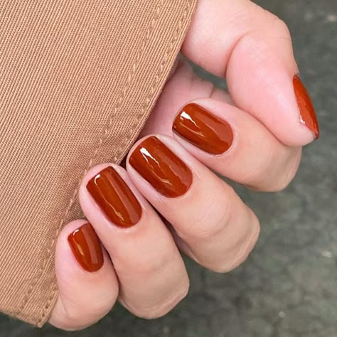 Burnt Orange Nails, Nail Art Orange, Manicure Pictures, Orange Nail Art, Orange Nail Designs, Orange Nail Polish, Simple Fall Nails, Nagellack Trends, Simple Gel Nails