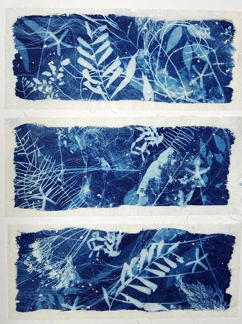 Cynotype Artists, Cyanotype Art, Cyanotype Process, Sun Prints, Alternative Photography, Gelli Printing, 수채화 그림, Eco Printing, Arte Sketchbook