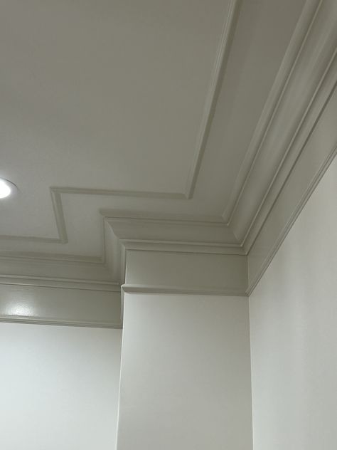 Double Crown Molding, Vaulted Ceiling Molding, Trim On Ceiling Ideas, Window Wainscoting, Painted Cove Ceiling, Pretty Ceilings, Wainscot Ceiling, Interior Millwork, Wall Crown Molding Ideas