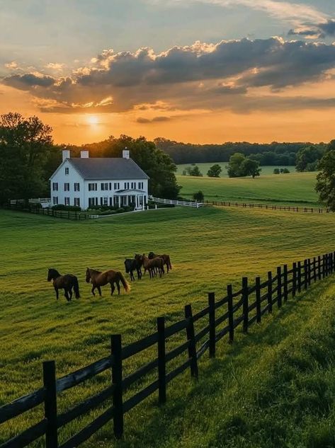 Farm Horses Country Living, Old Barn Aesthetic, Farm With Horses, Rich Farm Life Aesthetic, Country Farm Aesthetic, Farming Aesthetic Country Living, Farm Land Aesthetic, Farm Lifestyle Aesthetic, Farm Home Aesthetic