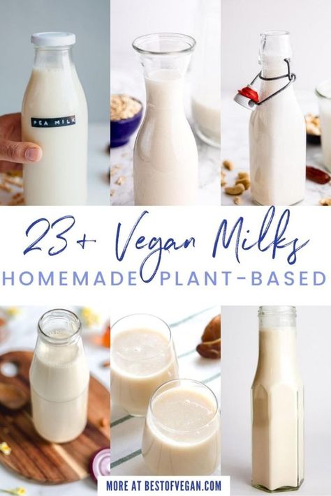 23+ Homemade Vegan Milks for World Plant Milk Day  - Best of Vegan Homemade Soy Milk, Nut Milk Recipe, How To Become Vegan, Tropical Food, Plant Milk, Non-dairy Milk, Vegan Milk, Mushroom Coffee, Vegetarian Recipe