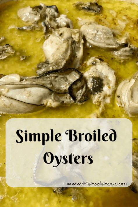 Broiled Seafood, Broiled Oysters Recipe, Baked Oyster Recipes, Oyster Stew Recipes, Broiled Oysters, Baked Oysters, Oyster Stew, Cooked Oysters, Appetizers Christmas