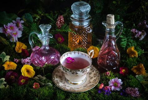 Cordial Recipe, Tuesday Blessings, Fairy Tea Parties, Spring Forest, Tea Party Garden, Mad Tea Party, Midsummer Nights Dream, Tea Party Birthday, Beltane