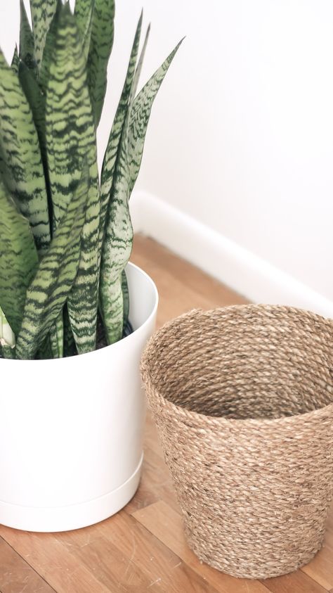 Rope Planter Diy, Rope Planter, Diy Jute Planter, Diy Rope Plant Pot, Jute Pots For Plants, Diy Woven Basket, Boho Mirrors, Boho Basket, Diy Rope Basket