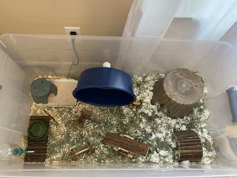 Bin Cage Ideas For Hamsters, Bin Cage, Hamster Bin Cage, Hamster Enclosure, Hamster Diy Cage, Pet Enclosures, Hamster Diy, Hamster Habitat, Hamster Care