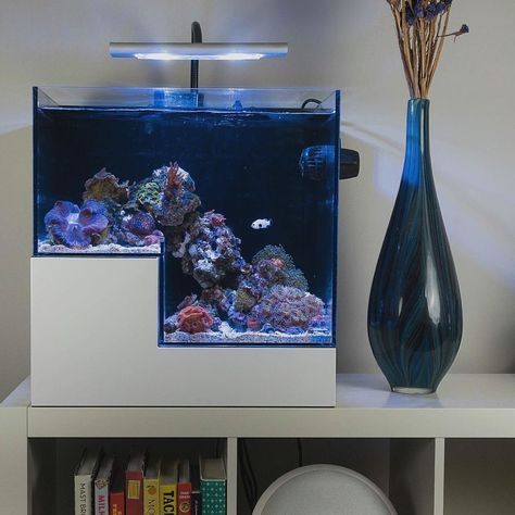 I want this drop off aquarium, or something close. Drop Off Aquarium, Nano Reef Tank, Fish Aquarium Decorations, Aquarium Garden, Salt Water Aquarium, Saltwater Aquarium Fish, Cool Fish Tanks, Saltwater Fish Tanks, Fish Tank Design