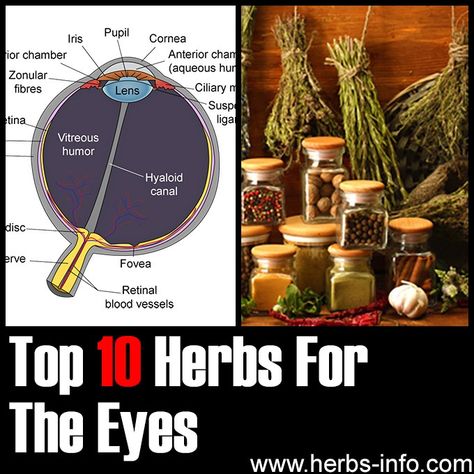 Whether you want to maintain healthy vision or restore it, here are 10 herbs that are regarded as beneficial for eye health: Ginko Biloba, Herbal Healing, Healthy Eyes, Herbs For Health, Holistic Remedies, Health And Happiness, Milk Thistle, Healing Herbs, For Eyes