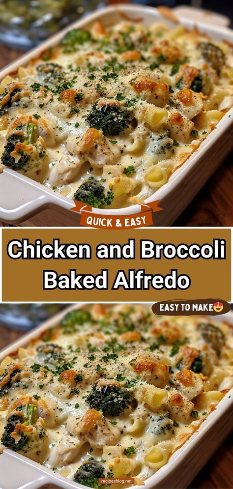 This Chicken Broccoli Alfredo Bake is a family favorite. It is simple to make and is a great way to get kids eating more protein and veggies. Protein Chicken Alfredo With Broccoli, Chicken And Broccoli Baked Alfredo, Baked Chicken Broccoli Alfredo, Chicken Alfredo Bake With Broccoli, Chicken Fettuccine Alfredo With Broccoli, Chicken And Broccoli Alfredo Bake, Chicken Broccoli Alfredo Casserole, Chicken Alfredo Broccoli, Fettuccine Alfredo With Broccoli