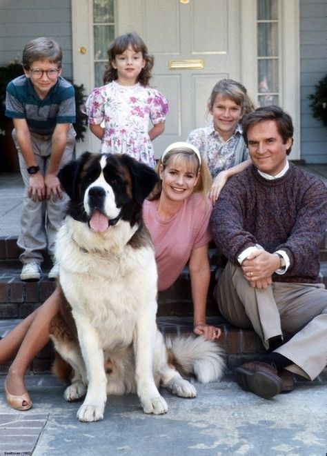 30 Of The Greatest Movie Dogs Nothing makes a movie better than having a really cute dog as the star (or supporting role). Beethoven Movie, Bonnie Hunt, Dog Movies, Famous Dogs, Childhood Movies, 90s Movies, Really Cute Dogs, 90s Childhood, St Bernard