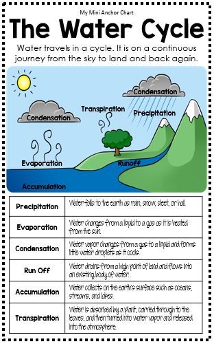 Water Cycle Anchor Chart, Water Cycle Project, Water Cycle Activities, Water Cycle Worksheet, Science Experiments Kids Elementary, Science Anchor Charts, The Water Cycle, 4th Grade Science, 6th Grade Science