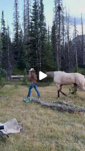 Marquise Young | 🤍
.
.
.
.
#cowgirlsofinstagram #longlivecowgirls #horsesofinstagram #westernlifestyle #beautifuldestinations #horsebackriding #cowgirl... | Instagram Cowgirl Instagram, Real Cowgirl, Horseback Riding, Horse Riding, Beautiful Destinations, Horses, Instagram