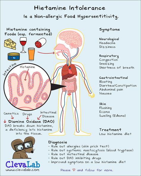 High Histamine Symptoms, High Histamine Foods To Avoid, Foods High In Histamine, High Histamine Foods List, Histamine Foods To Avoid, Dao Enzyme, Anti Histamine Foods, Histamine Intolerance Diet, Low Histamine Recipes