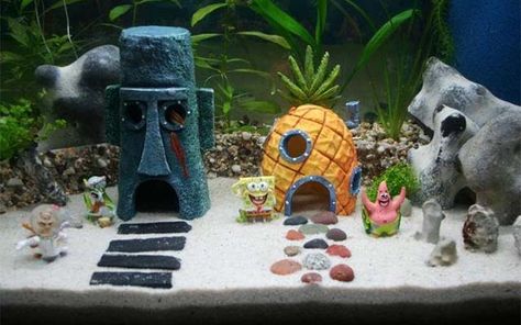 Who lives in a pineapple-shaped Spongebob aquarium ornament? Your goldfish, that’s who. Give your aquarium the same flair as Bikini Bottom with a new... Spongebob Fish Tank, Fish Tank Themes, Aquarium Set, Cool Fish Tanks, Diy Aquarium, Aquarium Ornaments, Cool Fish, Home Aquarium, Aquarium Design