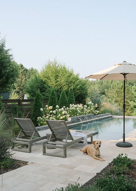 Two lounge chairs overlooking a luxurious backyard pool and spa, with a pet dog relaxing nearby in the summer Charleston Backyard, Pool Backyard Landscape, Pool On A Hill Backyards, Tiny Pool Ideas, Pool Backyard Ideas, Farmhouse Pool Ideas, Italian Backyard, Hampton Pool, Backyard Pool And Spa