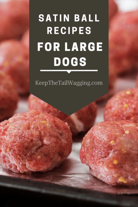 Dog Gain Weight Help, How To Put Weight On A Dog, How To Get A Dog To Gain Weight Food, Meatballs For Dogs Recipes, Help Dog Gain Weight Healthy, Satin Balls For Dogs, Dog Protein Balls, Satin Balls For Dogs Recipes, Dog Weight Gain Tips