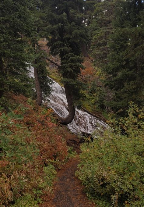 #pnw #oregon #chasingwaterfalls #hiking #camping #backpacking #autumn #fall #trails #mthood #nationalforest #trees #solohiking #sahalefalls #bucketlist #granola #crunchy #granolagirl #aesthetic #nature #creation #grounding #outdoors #fyp Oregon Autumn, Pnw Fall, Oregon Aesthetic, Oregon Fall, Pnw Oregon, Clouds And Rain, Adventure Aesthetic, Aesthetic Nature, Granola Girl