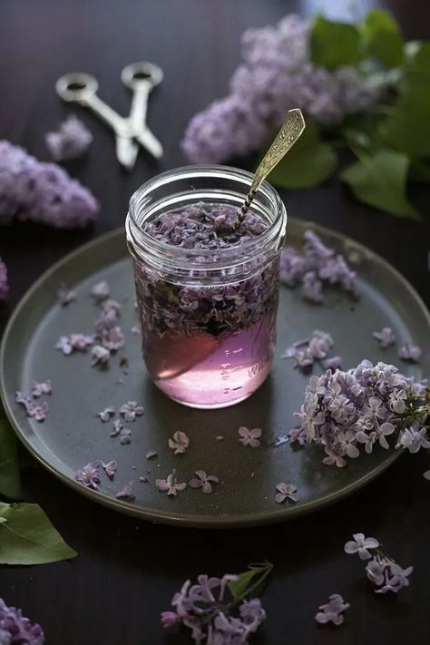 How to Make Lilac Simple Syrup - Moody Mixologist Lilac Simple Syrup, Lilac Recipes, Moody Mixologist, Lilac Syrup, Floral Food, Ramos Gin Fizz, Lavender Cocktail, Infused Sugar, Canning Ideas