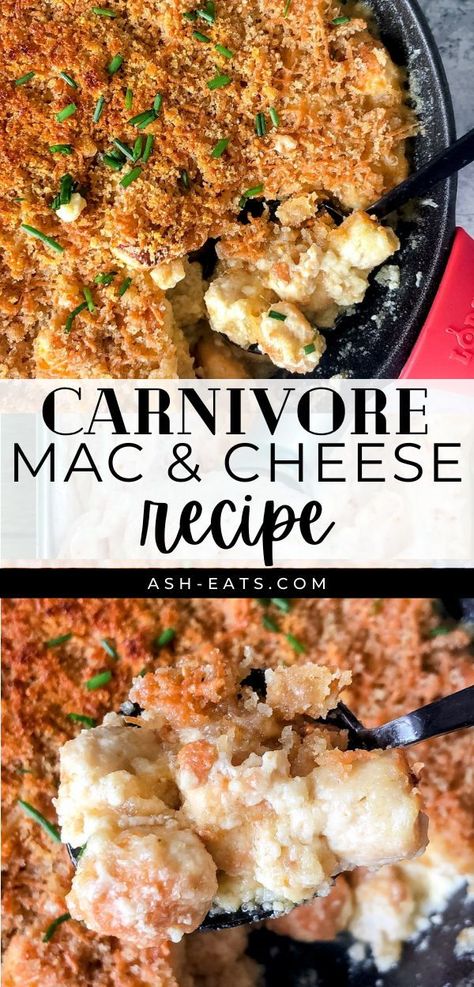 Meat Cheese Egg Diet, Mexican Carnivore Recipes, Carnivorous Diet Recipes, Carnivore Recipes With Cream Cheese, Carnivore Diet Bbq Sauce, Creative Carnivore Recipes, Very Low Carb Recipes, No Carb Dinners Healthy, Carnivore Taco Seasoning