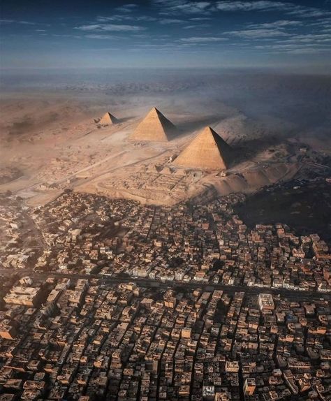 Great Pyramids Of Giza, History Of Literature, Giza Plateau, Pyramid Building, Cat Yawning, Sleeping Kitten, The Pyramids, Retro Cats, Aerial Photo