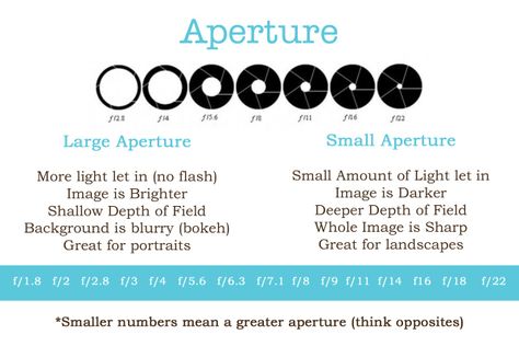 Aperture Aperture Cheat Sheet, Exposure Triangle, Deep Depth Of Field, What Is Iso, Camera Aperture, Aperture Photography, Photography Cheat Sheets, Photography Basics, Photography Education