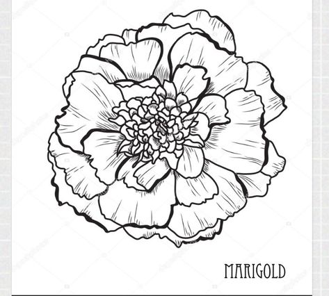 Marigold Sketch, Maddy Tattoo, Marigold Tattoo, Line Art Style, Art Jewelry Design, Flower Art Drawing, Floral Tattoo Design, Marigold Flower, Diy Tattoo