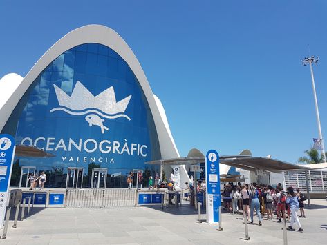 Spain's most famous aquarium is the southernmost building of the Ciudad de las Artes y las Ciencias. It's an impressive display, divided into a series of climate zones, reached overground or underground from the central hub building. The sharks, complete with tunnel, are an obvious favourite, while… Aquarium Entrance, Minecraft Base, Public Aquarium, Climate Zones, Public Space Design, Oceanography, Cloud Gate, Aquariums, Lonely Planet