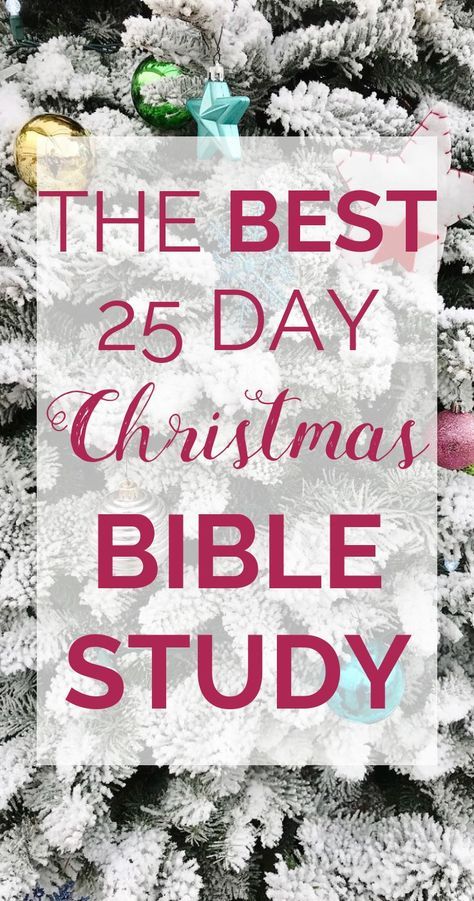 The best 25 Day Christmas Bible Study: The Wonders of His Love. This FREE Bible study includes 25 passages + 25 devotionals by 25 different Christian bloggers! PLUS giveaways, printables, and more! Sign up for free to make sure you don't miss out on this Advent reading plan. Christmas Bible Study, Bible Christmas, Advent Readings, Christmas Devotional, Business Mom, Study Plans, Quotes Christmas, Free Bible Study, Christmas Bible