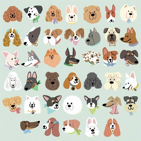 Dog Headshots :: Behance Dog Illustration Art, Cute Dog Drawing, Dog Illustrations, Adobe Fresco, Digital Art Drawing, 강아지 그림, Home Dog, Cute Doodle Art, Dog Illustration