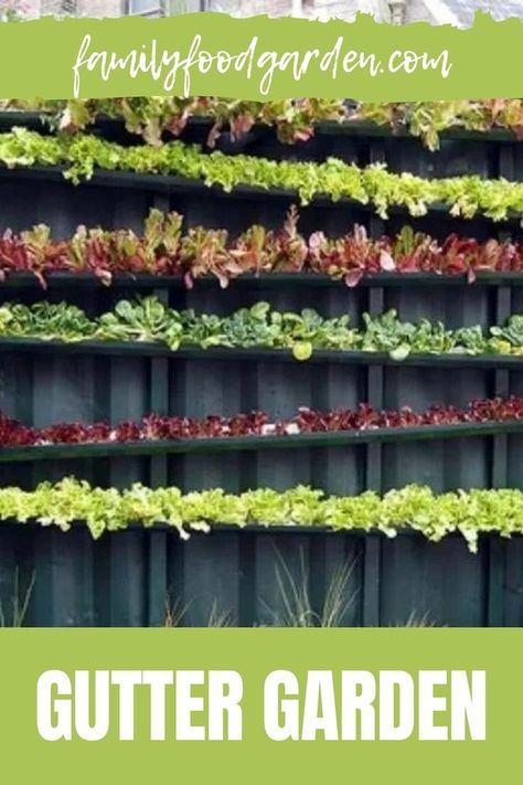 Vertical Edible Garden, Container Gardening Trellis, Gutter Planters Diy, Gutter Garden Ideas, Growing Strawberries In Gutters, Strawberry Gutter Garden, Gutter Strawberry Planter, Vertical Vegetable Gardens Diy, Verticle Gardening Ideas