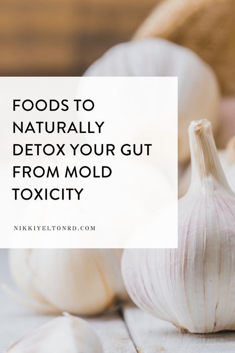 How This 4-Step Mold Detox Protocol Can Help Leaky Gut - Nikki Yelton RD Mold Diet Recipes, Gut Detox Recipes, Mold Detox Diet, Mold Detoxing, Mold Diet, Heal The Gut, Bio Hacking, Mold Illness, Mold Exposure