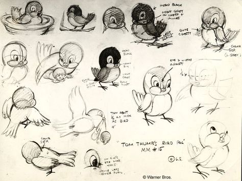 Warners Brothers bird sketches.  Artist? Disney Birds, Tattoo Character, Chuck Jones, Bird Sketch, Cartoon Birds, Tom Thumb, Disney Sketches, Kinds Of Birds, Amazing Drawings