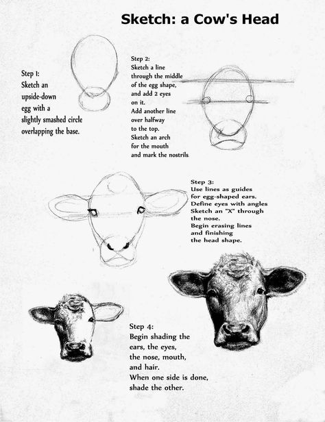 Follow these simple steps to easily sketch a cow's head Cow Drawing, Cow Face, Drawing Heads, Drawing Faces, Cow Painting, Painting Art Lesson, Hur Man Målar, Cow Art, A Cow