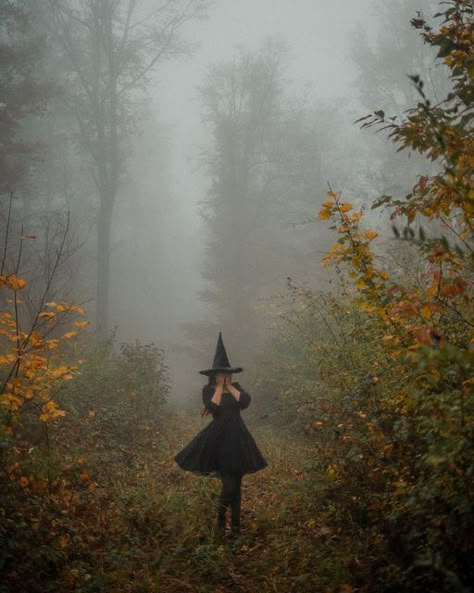 Witch In The Woods Photography, Witch Aesthetic Cottagecore, Cottagecore Halloween Aesthetic, Moody Halloween Aesthetic, Fall Photoshoot Inspiration, Witch’s Hat, Witchy Party Outfit, Witch Fall Aesthetic, Autumn Foto Ideas