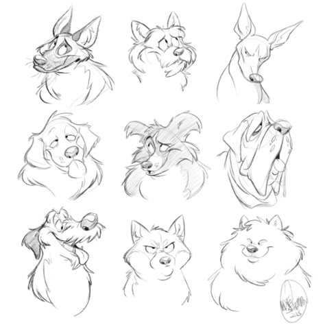 Cartoon Dog Drawing, Face Poses, Animal Sketch, Different Animals, Dog Sketch, Disney Dogs, Dog Tips, Dog Hacks, Poses References