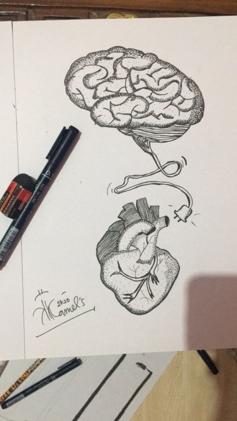 Heart And Brain Sketch, Brain Mandala Art, Heart And Brain Drawing, Brain And Heart Drawing, Brain Drawing Creative, Human Brain Drawing, Heart Pencil Drawing, Anatomical Heart Drawing, Human Heart Drawing