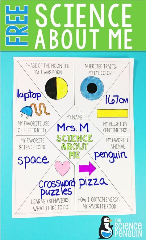 Science About Me, Sixth Grade Science, Science Penguin, First Week Activities, Science Board, Fourth Grade Science, Middle School Science Classroom, Science Room, Science Classroom Decorations